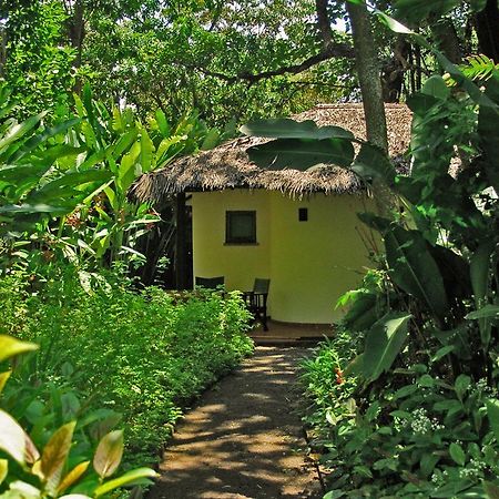 Moivaro Coffee Lodge Arusza Zewnętrze zdjęcie