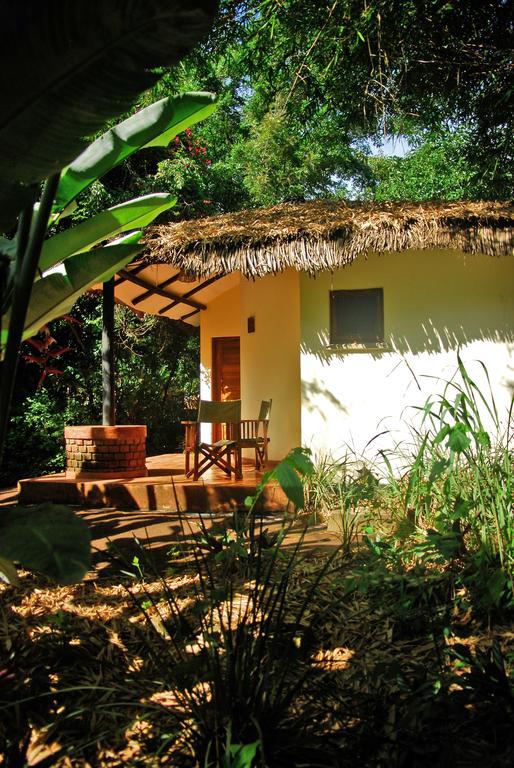 Moivaro Coffee Lodge Arusza Pokój zdjęcie